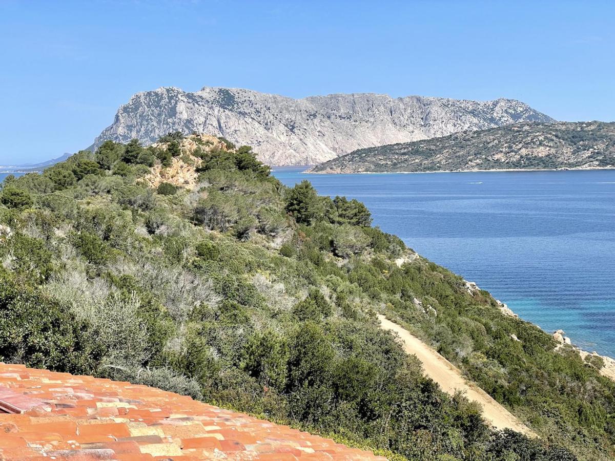 卡珀科达卡瓦洛San Teodoro Punta Est Fantastico Trilocale Vista Mare公寓 外观 照片