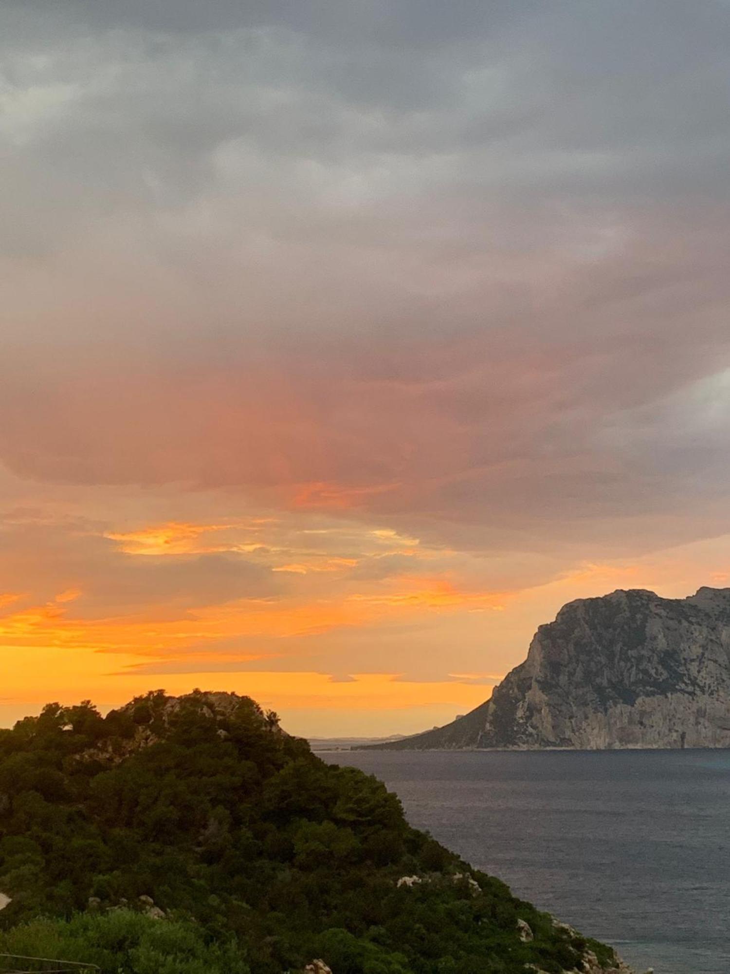卡珀科达卡瓦洛San Teodoro Punta Est Fantastico Trilocale Vista Mare公寓 外观 照片